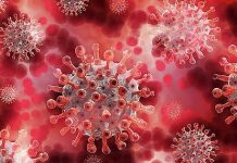 Áustria inicia lockdown em meio a nova onda de covid-19 na Europa