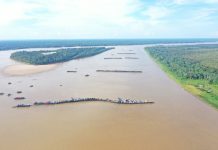 Governo federal prepara ação contra garimpo ilegal no rio Madeira