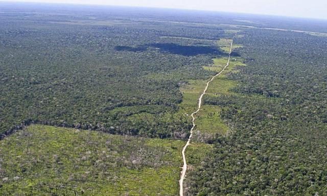 Ministério do Meio Ambiente diz que dados de desmatamento não refletem combate realizado nos últimos meses