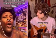 No TikTok, músicos unem Post e Pop Punk em dueto incrível e viralizam