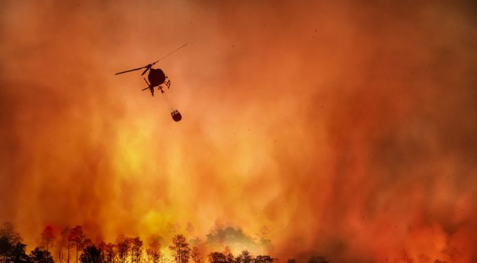 Nvidia vai usar IA para prever e combater incêndios florestais