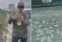 Porta de carro forte se abre e espalha dólares por rodovia nos EUA; assista