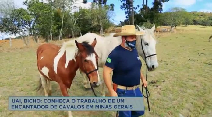 Uai, Bicho: conheça um encantador de cavalos de Extrema (MG)