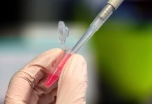 Brasileiros infectados com variante Ômicron foram vacinados e têm sintomas leves