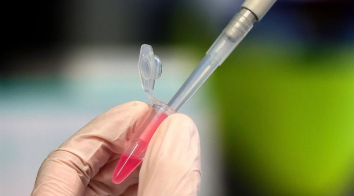 Brasileiros infectados com variante Ômicron foram vacinados e têm sintomas leves