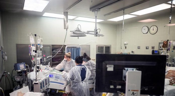 Estados Unidos superam marca de 800 mil mortes pela Covid-19