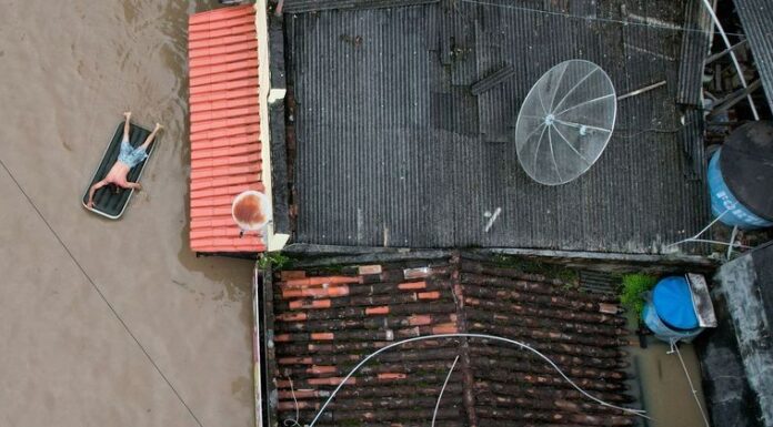 Governo de SP envia equipe para força-tarefa no sul da Bahia – Notícias