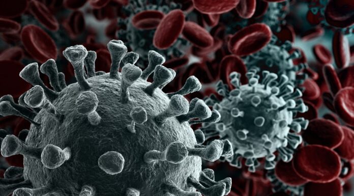 Homem infectado pela Ômicron nos EUA compareceu a feira de anime com mais de 50 mil pessoas