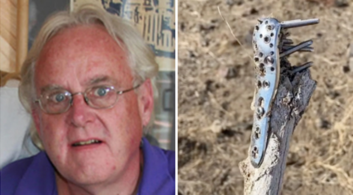 Homens encontram restos mortais durante caminhada e solucionam desaparecimento de 8 anos