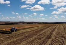 La Niña impacta safra brasileira de grãos