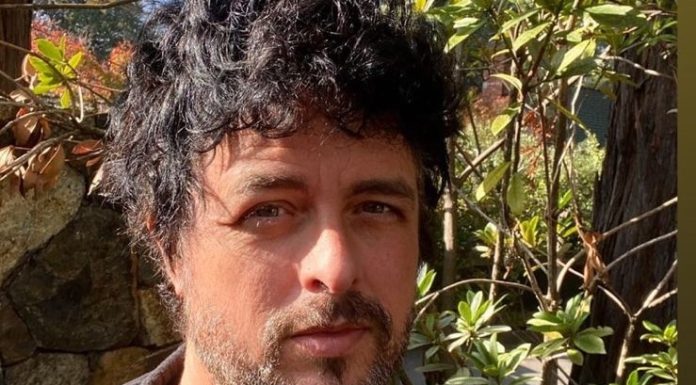 Pela segunda vez, Billie Joe Armstrong viraliza após postar foto do seu visual na pandemia