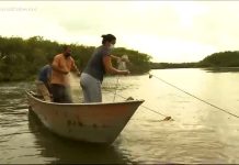 Vida de Pescador : pesca artesanal emprega quase 1 milhão de brasileiros e atravessa gerações – Notícias