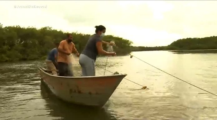 Vida de Pescador : pesca artesanal emprega quase 1 milhão de brasileiros e atravessa gerações – Notícias