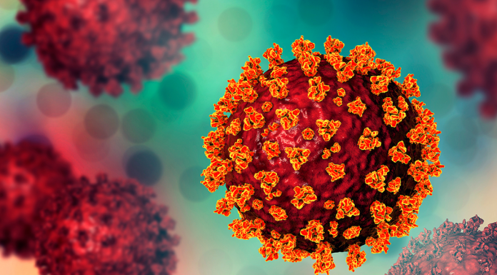 o que os cientistas sabem até agora sobre a nova variante da Covid