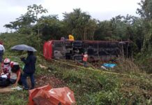 Colisão entre ônibus e caminhão deixa 8 mortos e 15 feridos no México