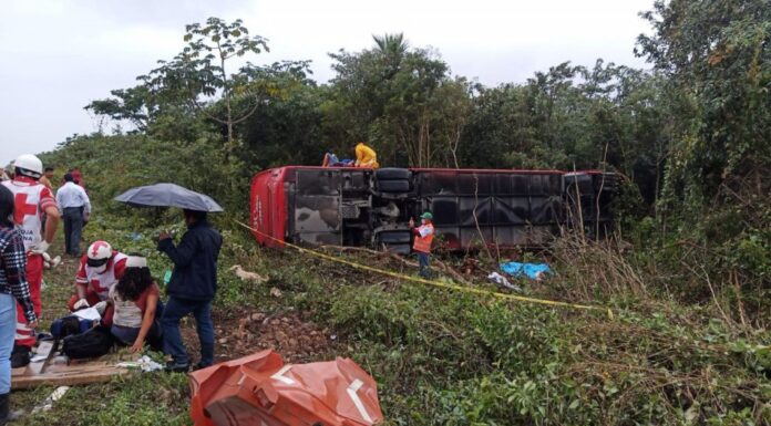 Colisão entre ônibus e caminhão deixa 8 mortos e 15 feridos no México