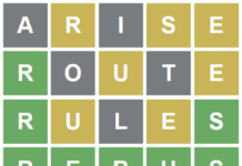 Idosa é salva de sequestro nos Estados Unidos por causa do jogo Wordle